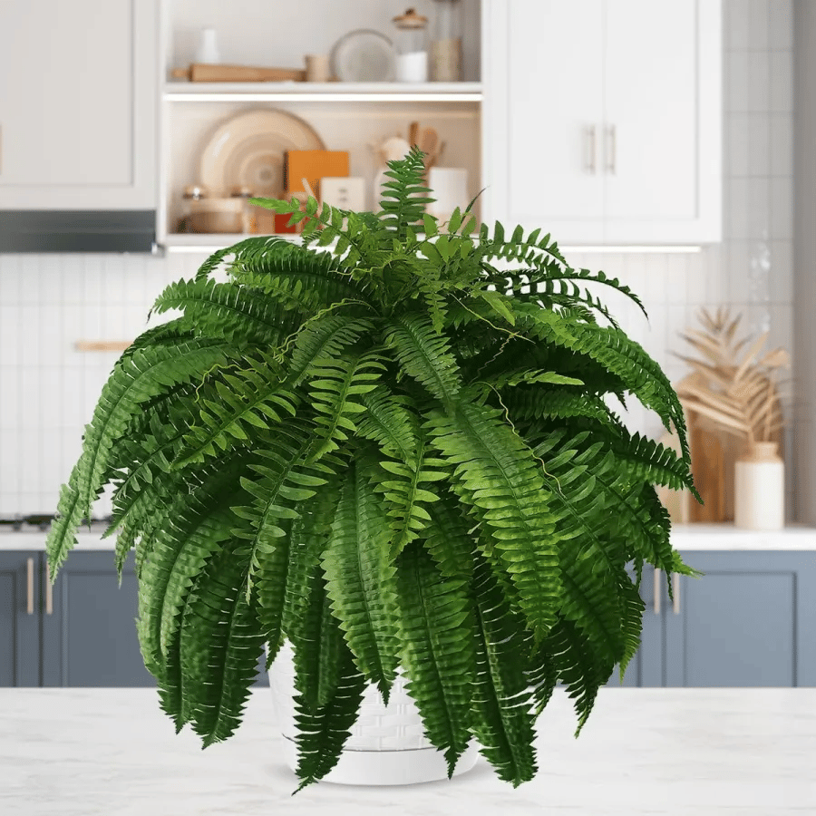 Last Day 70% OFF-UV Resistant Lifelike Artificial Boston Fern