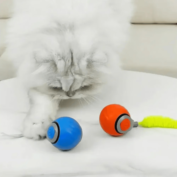🔥Last Day 70% OFF - SPEEDY TAIL 2.0 (Buy 2 Get 1 Free)