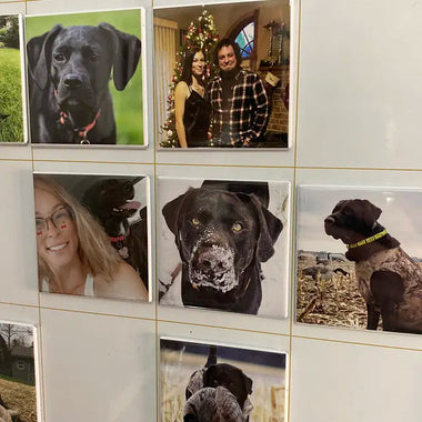 Mucior™-Custom Photo Magnets