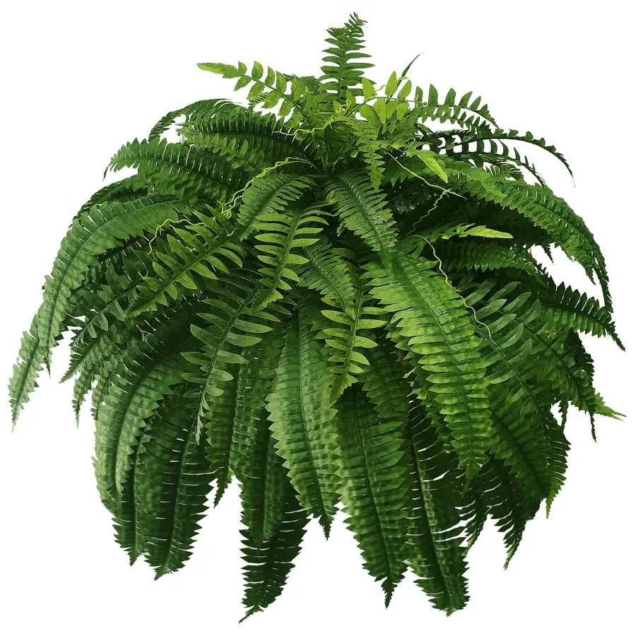 Last Day 70% OFF-UV Resistant Lifelike Artificial Boston Fern