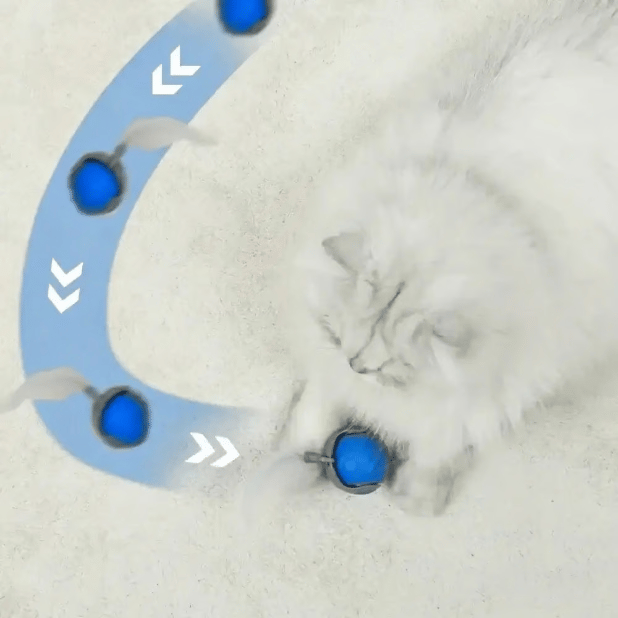 🔥Last Day 70% OFF - SPEEDY TAIL 2.0 (Buy 2 Get 1 Free)