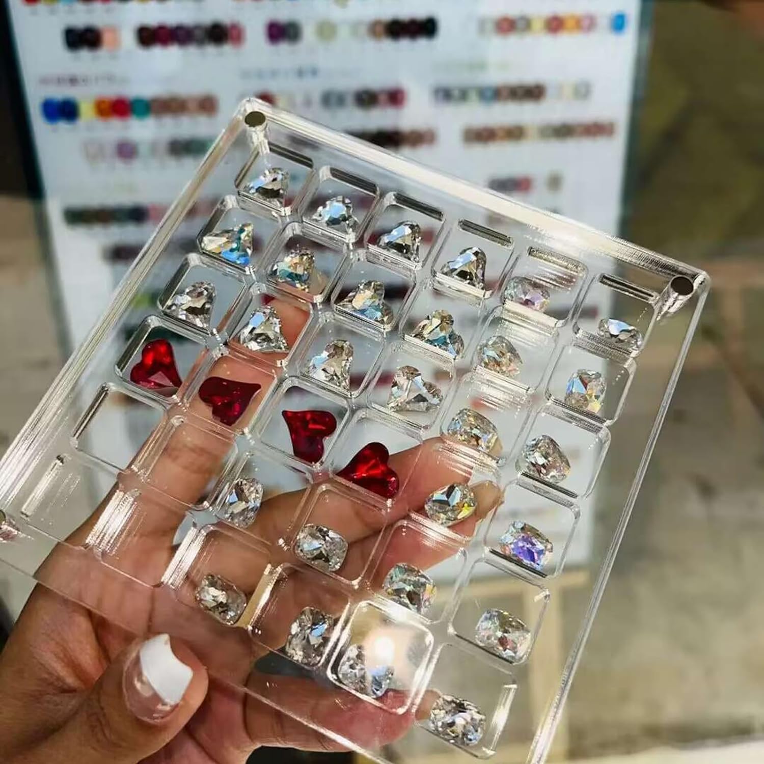 SeaShell Display Case (Just Case)