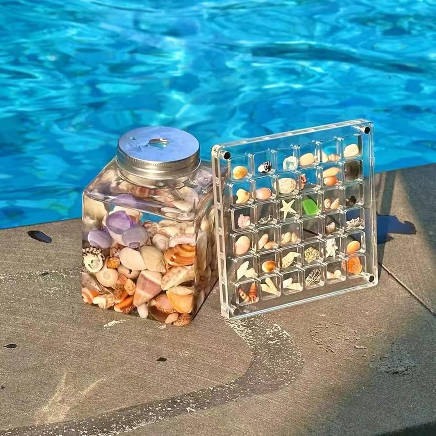 SeaShell Display Case (Just Case)