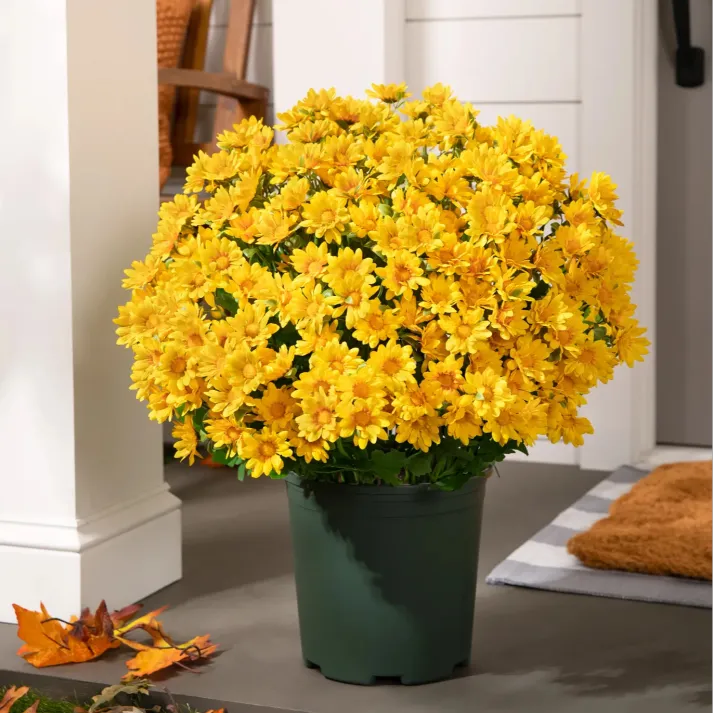 💥Last Day Each- Artificial Outdoor Sunset Mums Flowers -  Waterproof, Windproof