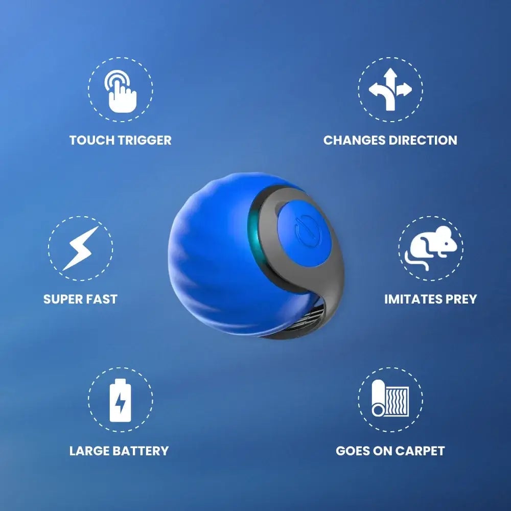 🔥Last Day 70% OFF - SPEEDY TAIL 2.0 (Buy 2 Get 1 Free)