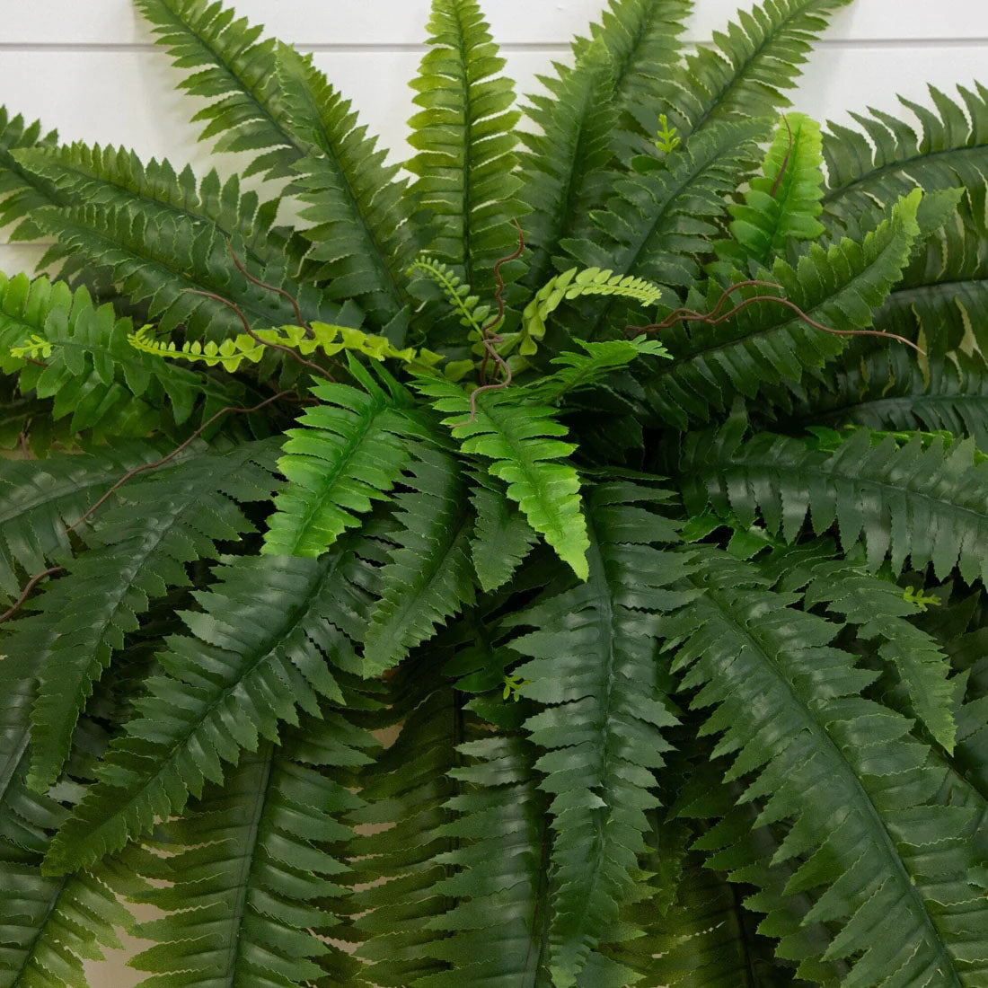 Last Day 75% OFF--UV Resistant Lifelike Artificial Boston Fern