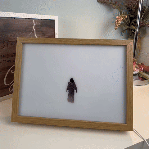 Mucior Lamp - 4D LED Painting